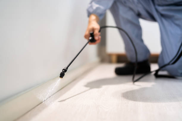 Licensed Exterminator service in New Bedford, PA - Show Me Pest Control