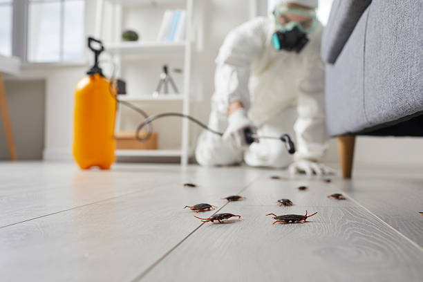 Commercial Kitchen Cockroach Control in New Bedford